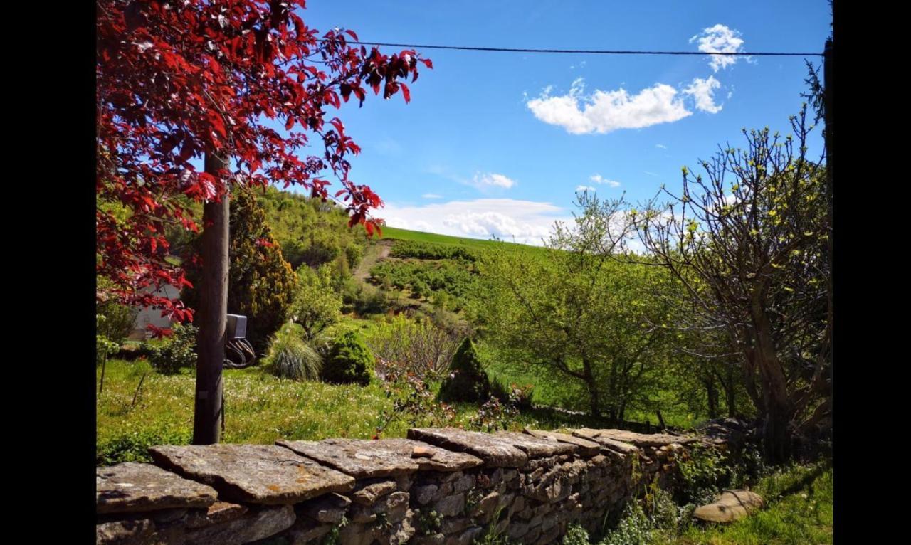 Agriturismo Locanda Dei Cacciatori 돌리아니 외부 사진